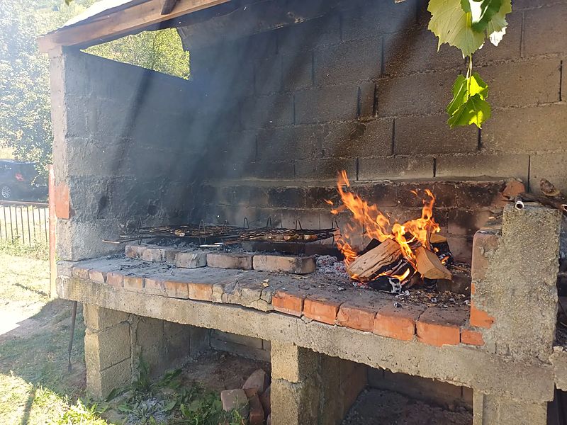 Vatra na terenu — šef za roštiljem — Fotografija 8