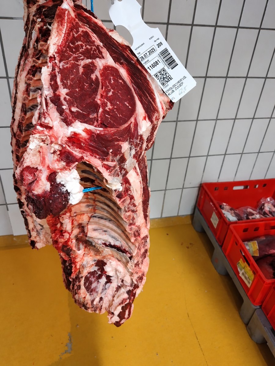 Rippenstück vom Rind hängt am Haken im Kühlraum, mit Schlachtanhänger